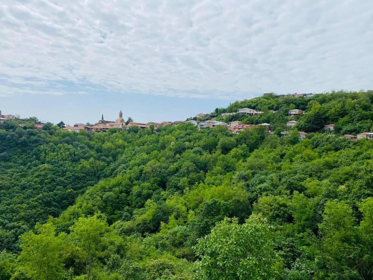 Villa Royal Sighnaghi Zewnętrze zdjęcie