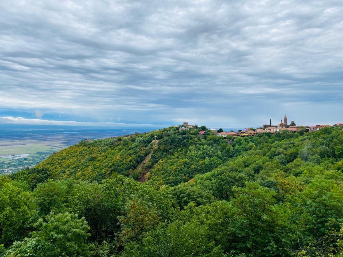 Villa Royal Sighnaghi Zewnętrze zdjęcie